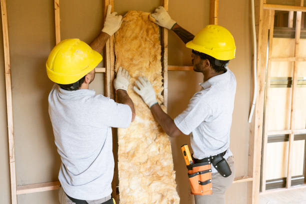 Best Attic Insulation Installation  in Magnolia, NJ